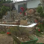 Apartament Traditional Chora *